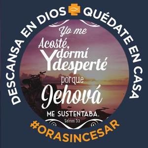 Meet your Posher, Rosy